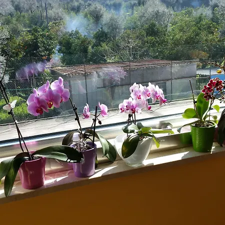 Hotell Leone Sorrento