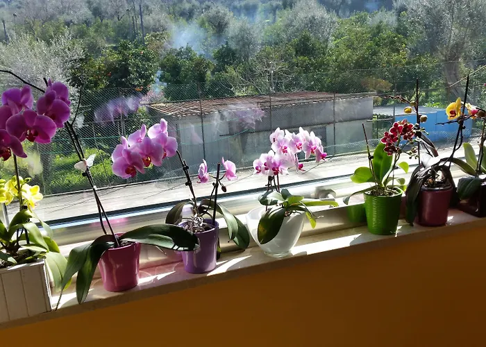 Hotel Leone Sorrente